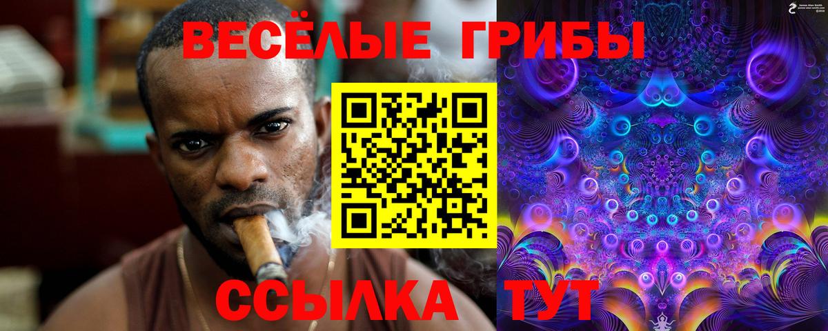 Псилоцибиновые грибы Psilocybe Комсомольск-на-Амуре