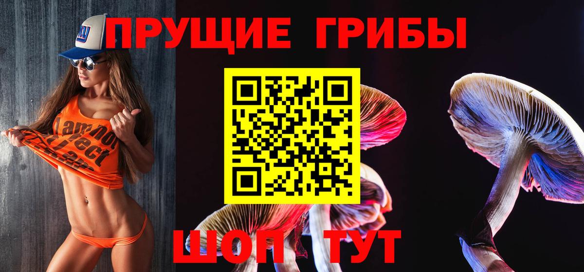 Галлюциногенные грибы MAGIC MUSHROOMS  Псилоцибиновые грибы мицелий  Вход с VPN  Комсомольск-на-Амуре 